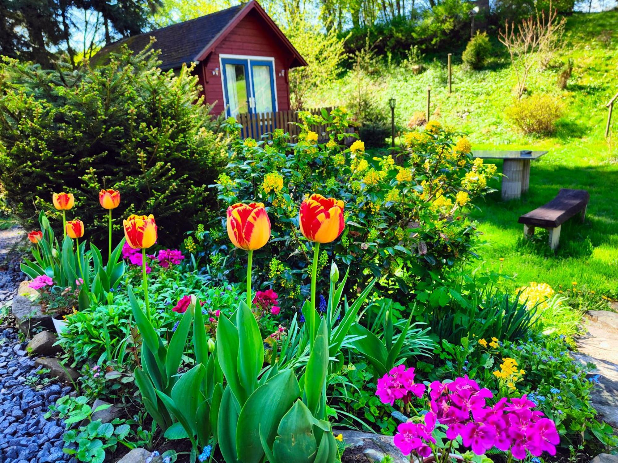Bed And Breakfast Tvrz Velká Bukovina Exteriör bild